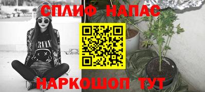 индика Новокубанск